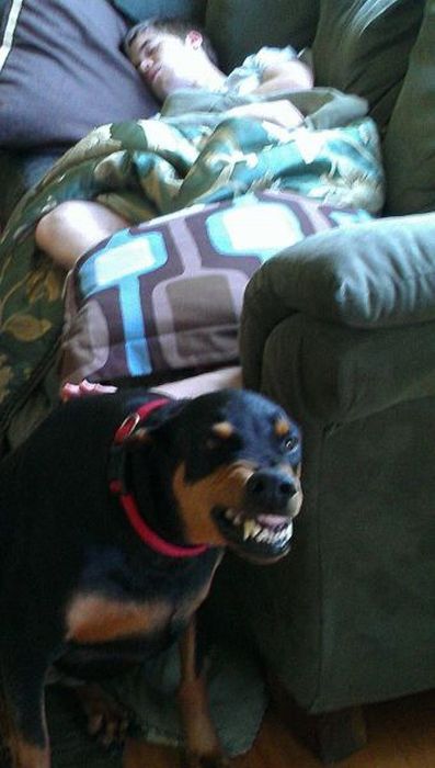 Acid Picdump (110 pics)