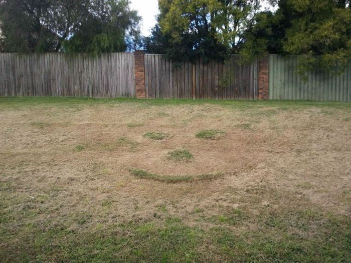 Acid Picdump (110 pics)