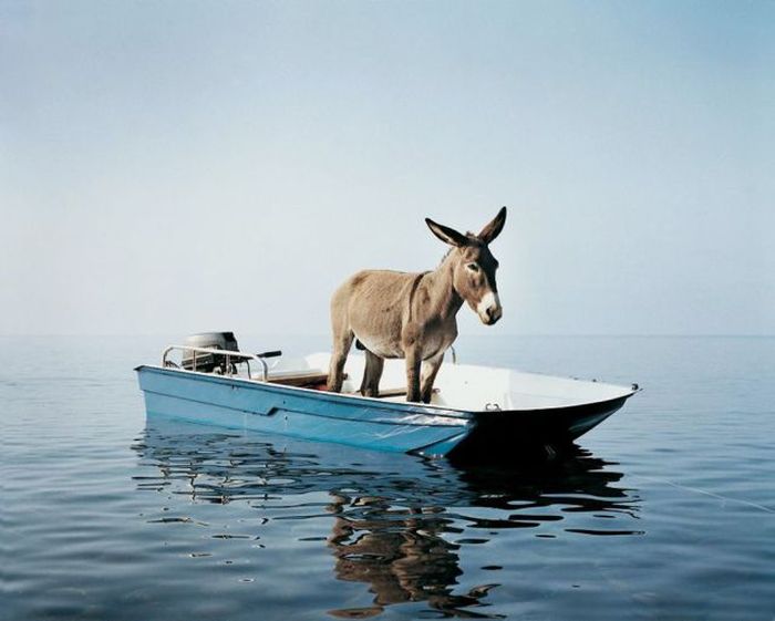 Acid Picdump (110 pics)