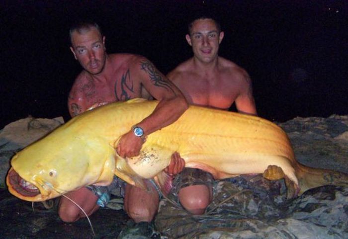 Acid Picdump (110 pics)