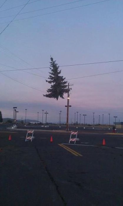 Acid Picdump (110 pics)