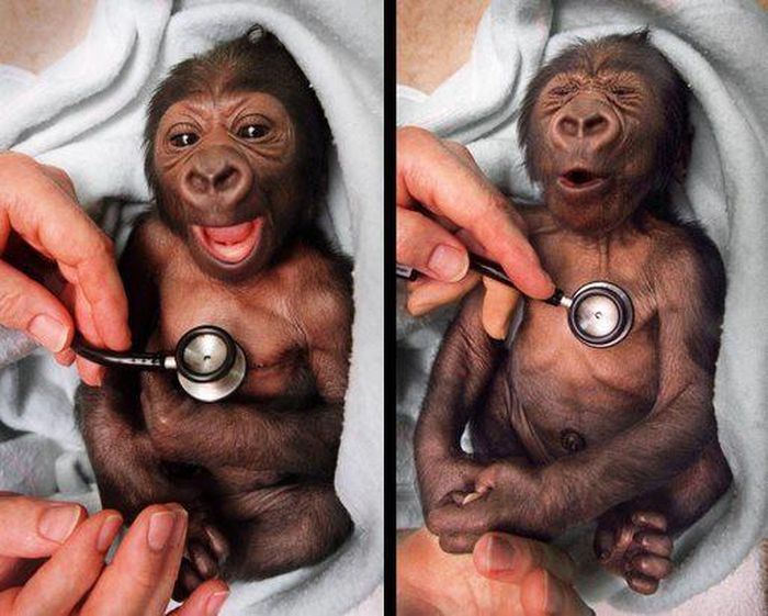Acid Picdump (110 pics)