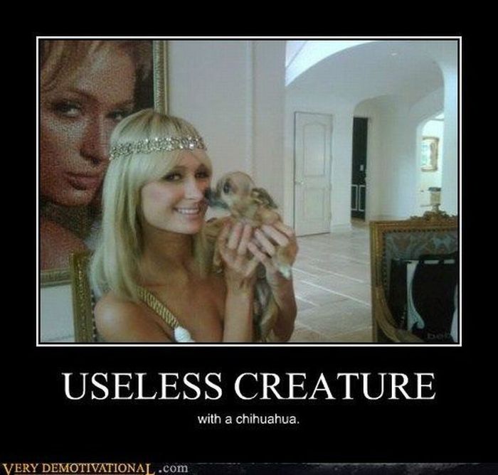 Funny Demotivational Posters (32 pics)