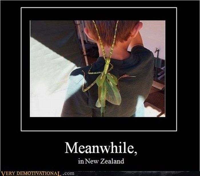 Funny Demotivational Posters (32 pics)