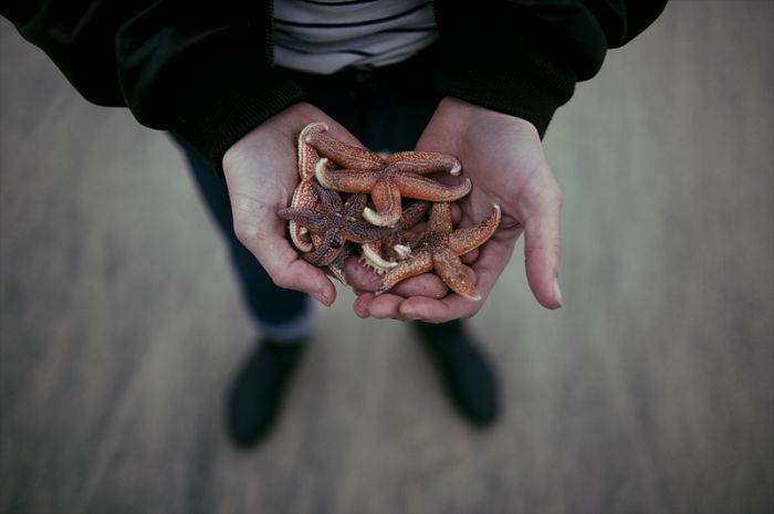 Hipsters Life by Theo Gosselin (31 pics)