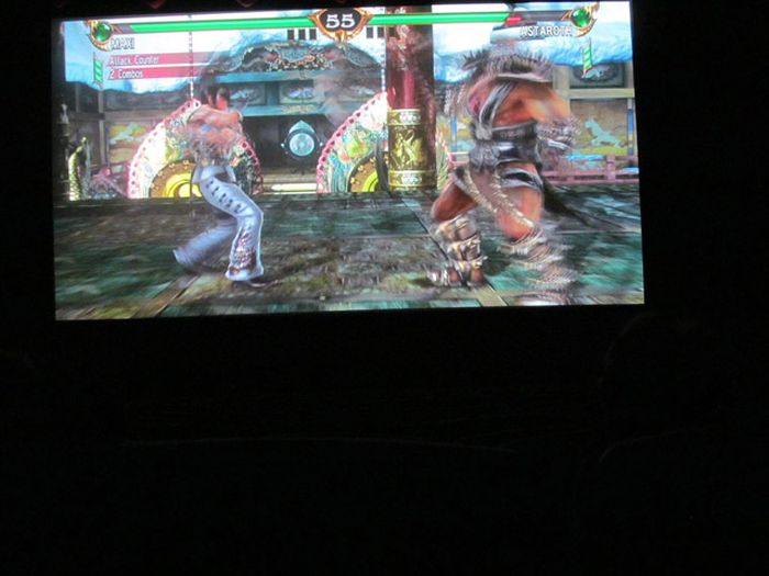 A Video Gamer’s Dream Come True (7 pics)
