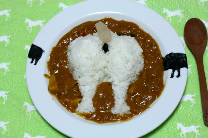Shiba Inu Plump Booty Curry (6 pics)