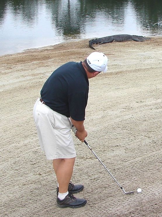 The Most Extreme Golf Field Ever (20 pics)