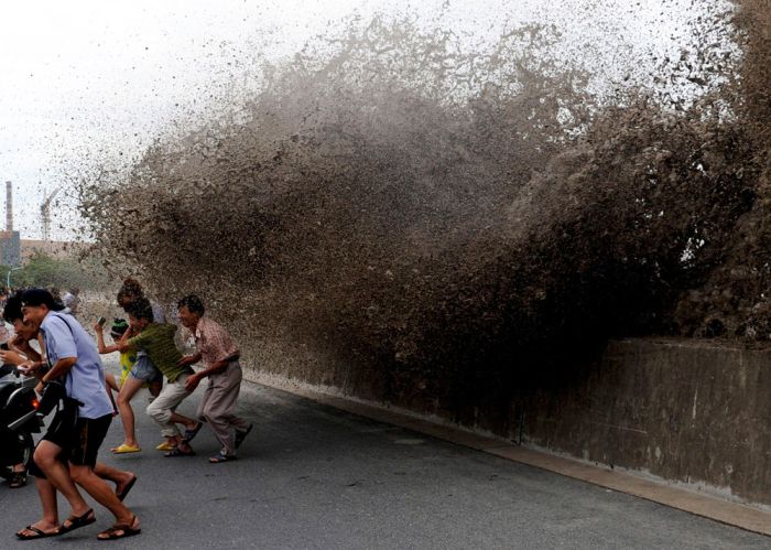 Acid Picdump (135 pics)