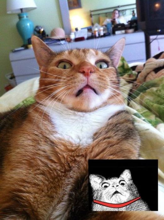 Acid Picdump (135 pics)