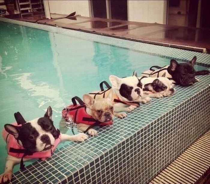 Acid Picdump (135 pics)
