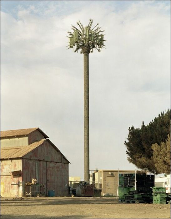 Camouflaged Cell Phone Towers (22 pics)