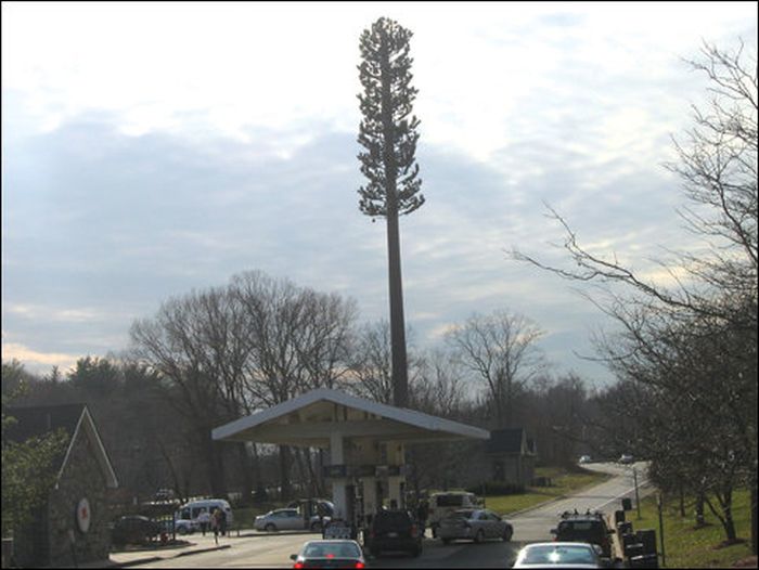 Camouflaged Cell Phone Towers (22 pics)