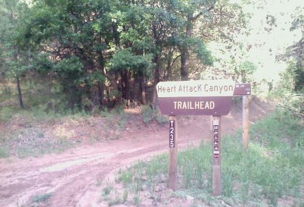 Street Signs WTF (30 pics)
