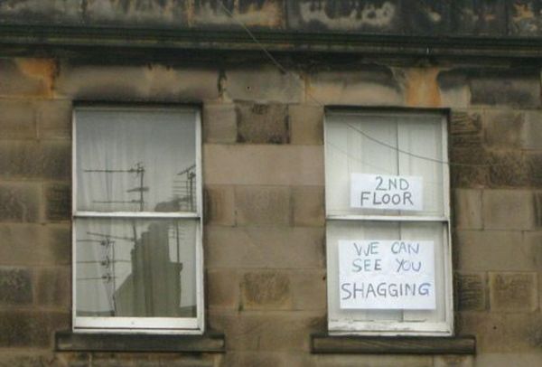 Street Signs WTF (30 pics)