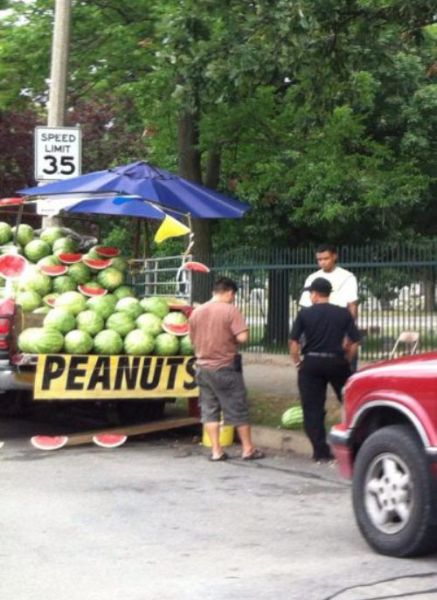 Street Signs WTF (30 pics)