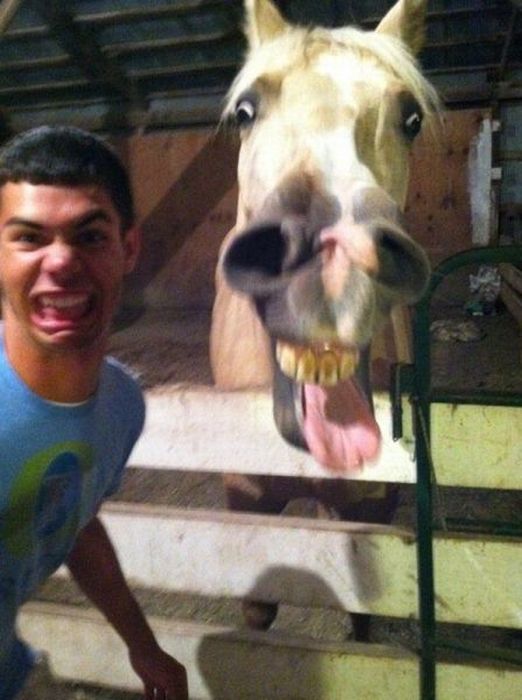 Acid Picdump (101 pics)