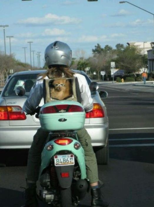 Acid Picdump (101 pics)