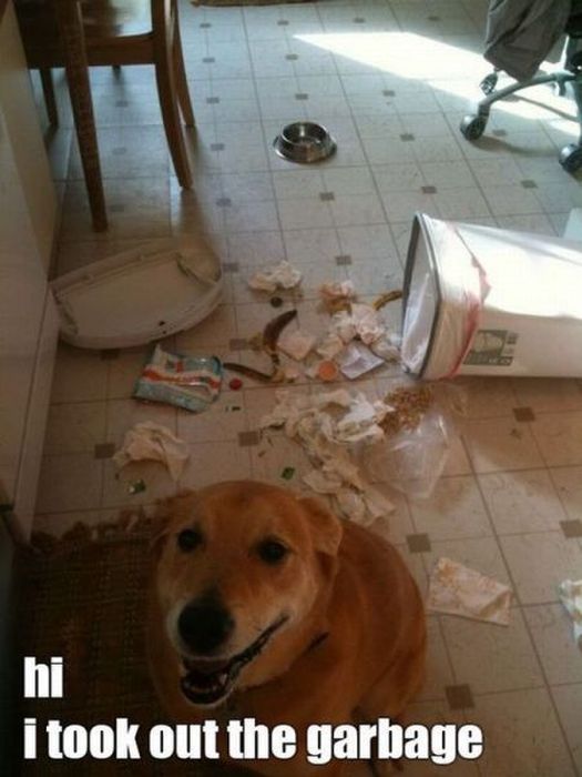 Acid Picdump (101 pics)