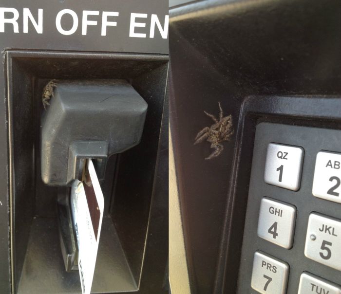 Acid Picdump (101 pics)