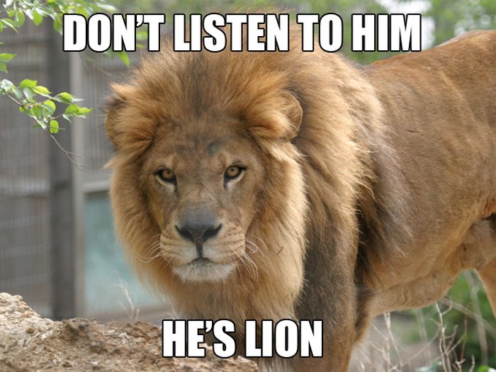 Hilarious Animal Puns (10 pics)