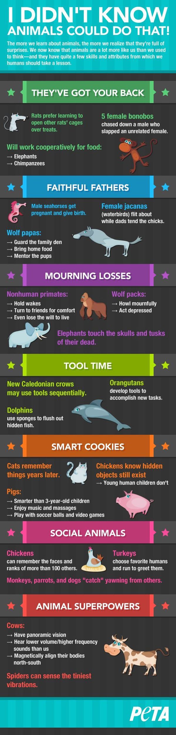 I Didn't Know Animals Could Do That! (infographic)