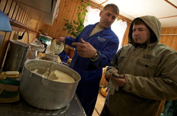 Russian Rescue Center for Bear Cubs (16 pics)