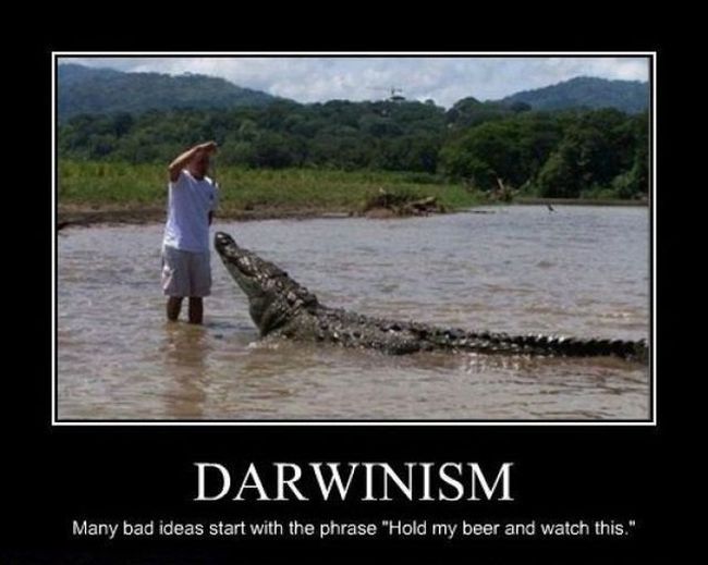 Funny Demotivational Posters (35 pics)