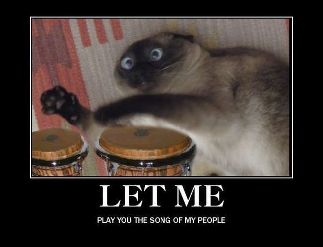 Funny Demotivational Posters (35 pics)