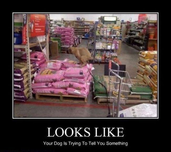 Funny Demotivational Posters (35 pics)