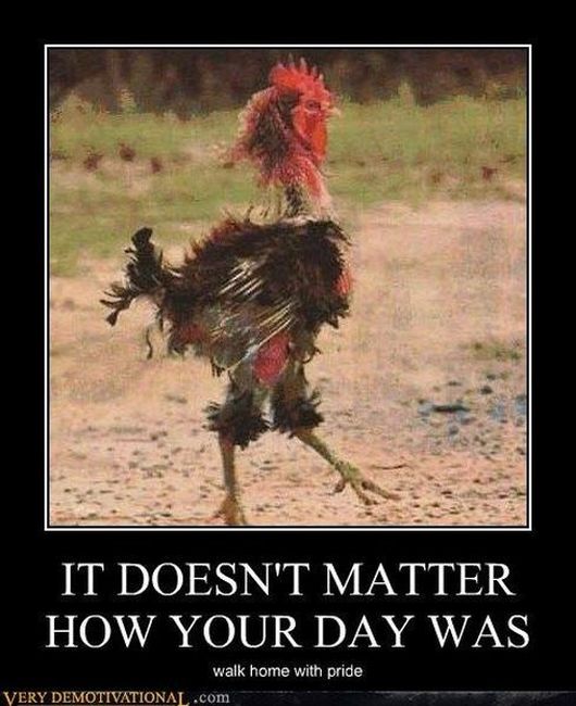 Funny Demotivational Posters (35 pics)