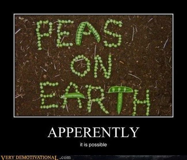 Funny Demotivational Posters (35 pics)