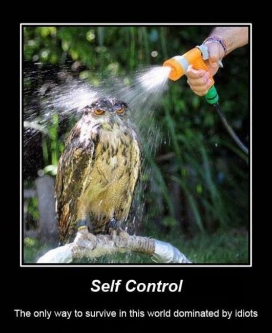 Funny Demotivational Posters (35 pics)