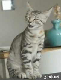 Acid Gifdump (23 gifs)