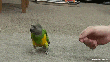 Acid Gifdump (23 gifs)