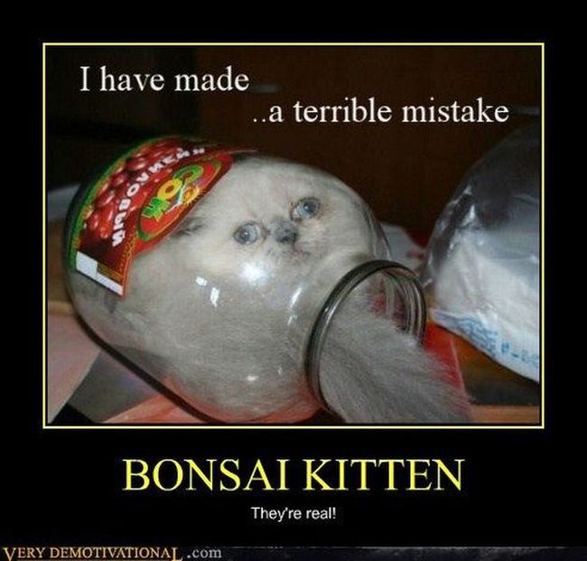 Funny Demotivational Posters (38 pics)