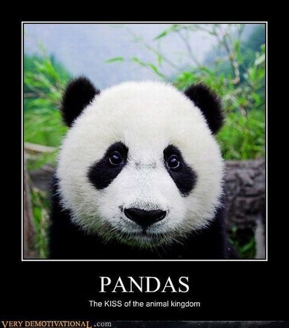 Funny Demotivational Posters (38 pics)