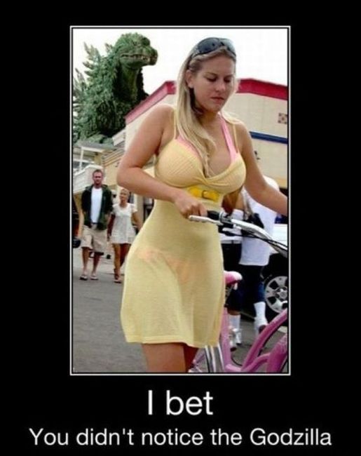 Funny Demotivational Posters (38 pics)