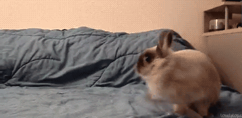 Did It Ever Happen to You When... Part 16 (21 gifs)