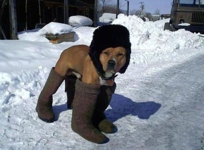 Meanwhile in Russia (60 pics)