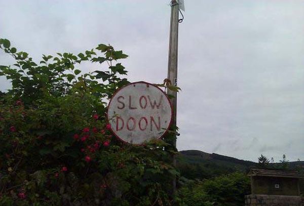 WTF Signs (29 pics)