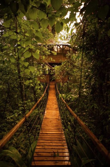 Building a Treehouse Village in Costa Rica (31 pics)