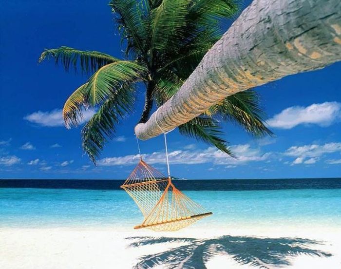 The Best Places for a Hammock (25 pics)