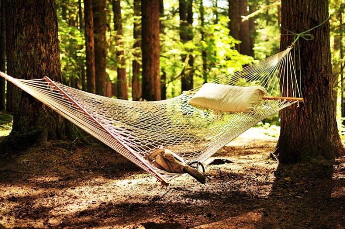 The Best Places for a Hammock (25 pics)