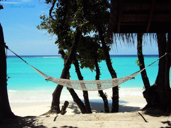 The Best Places for a Hammock (25 pics)