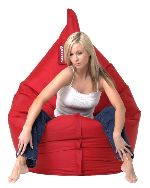 Girls on Sumo Bean Bag Chairs (19 pics)