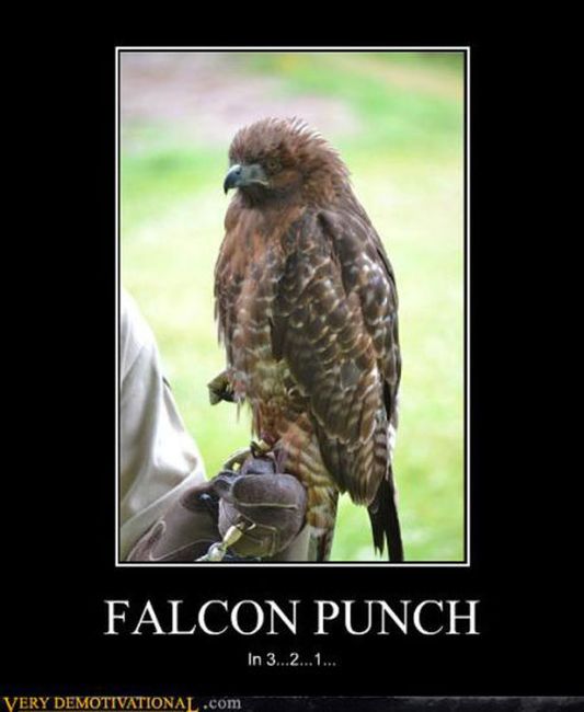 Funny Demotivational Posters (38 pics)