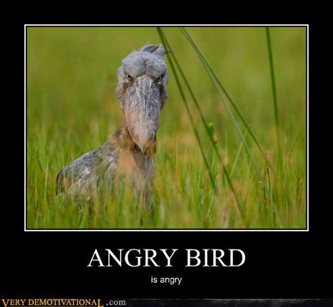 Funny Demotivational Posters (38 pics)