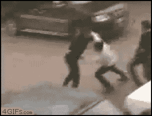 CCTV GIFs (20 gifs)