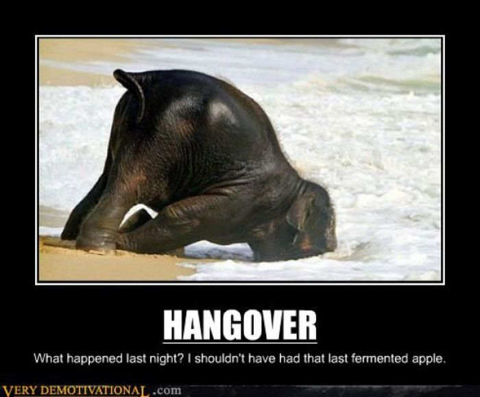Funny Demotivational Posters (32 pics)